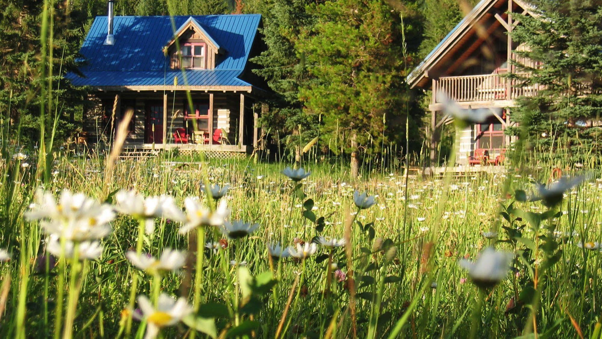 Nipika Mountain Resort Radium Hot Springs Exteriör bild